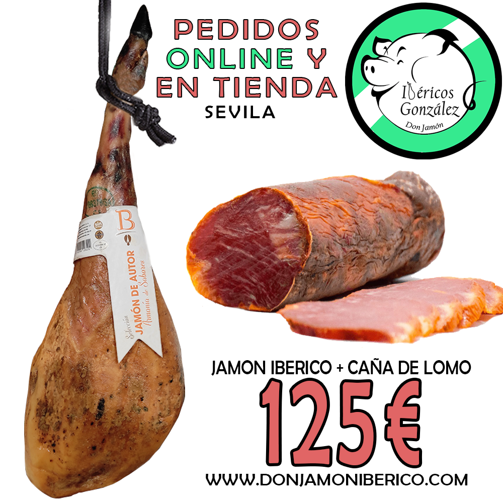 OFERTA-ESPECIAL-NAVIDAD-2024